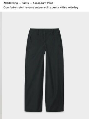 Aritzia Ascendant Pant